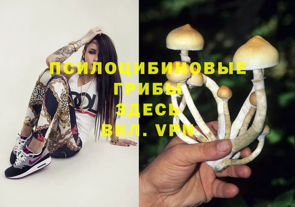 прущая мука Усинск