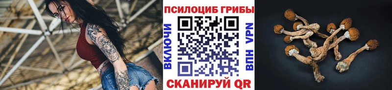 наркошоп  Калининец  Галлюциногенные грибы Psilocybine cubensis 